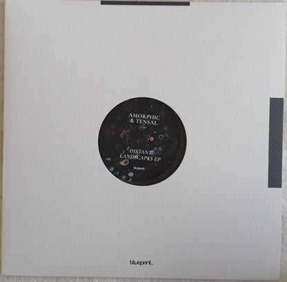 Distant Landscapes EP (VINYL) | Mint (M) Mint (M) - TECHNO *NEW*