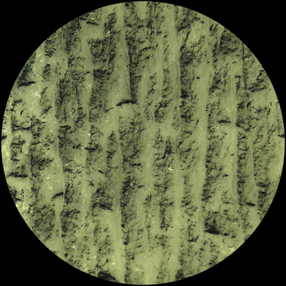 Idu Berg - Dilettantes (VINYL) | Mint (M) Mint (M) - TECHNO *NEW*