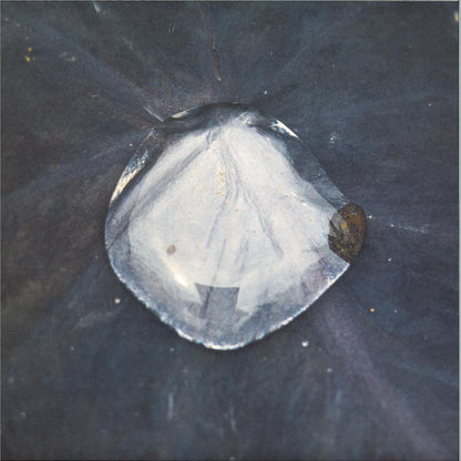 Konduku - Sarmal (VINYL 12" Hayal HYL001) | NEW Mint (M) Mint (M) - TECHNO *NEW*