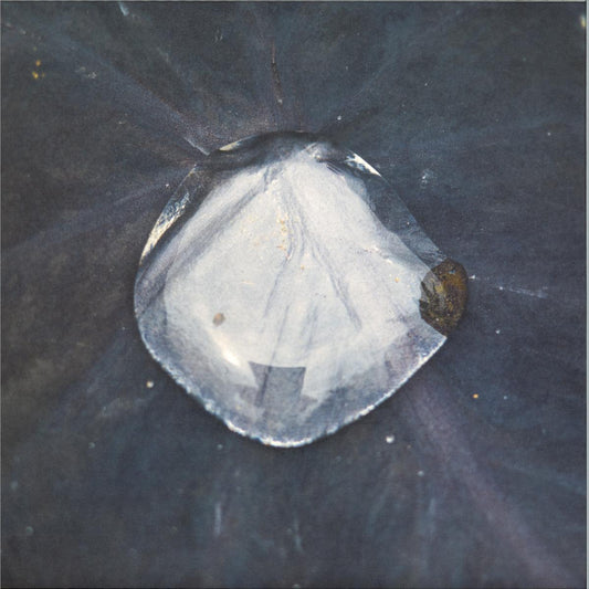 Konduku - Sarmal (VINYL 12" Hayal HYL001) | NEW Mint (M) Mint (M) - TECHNO *NEW*