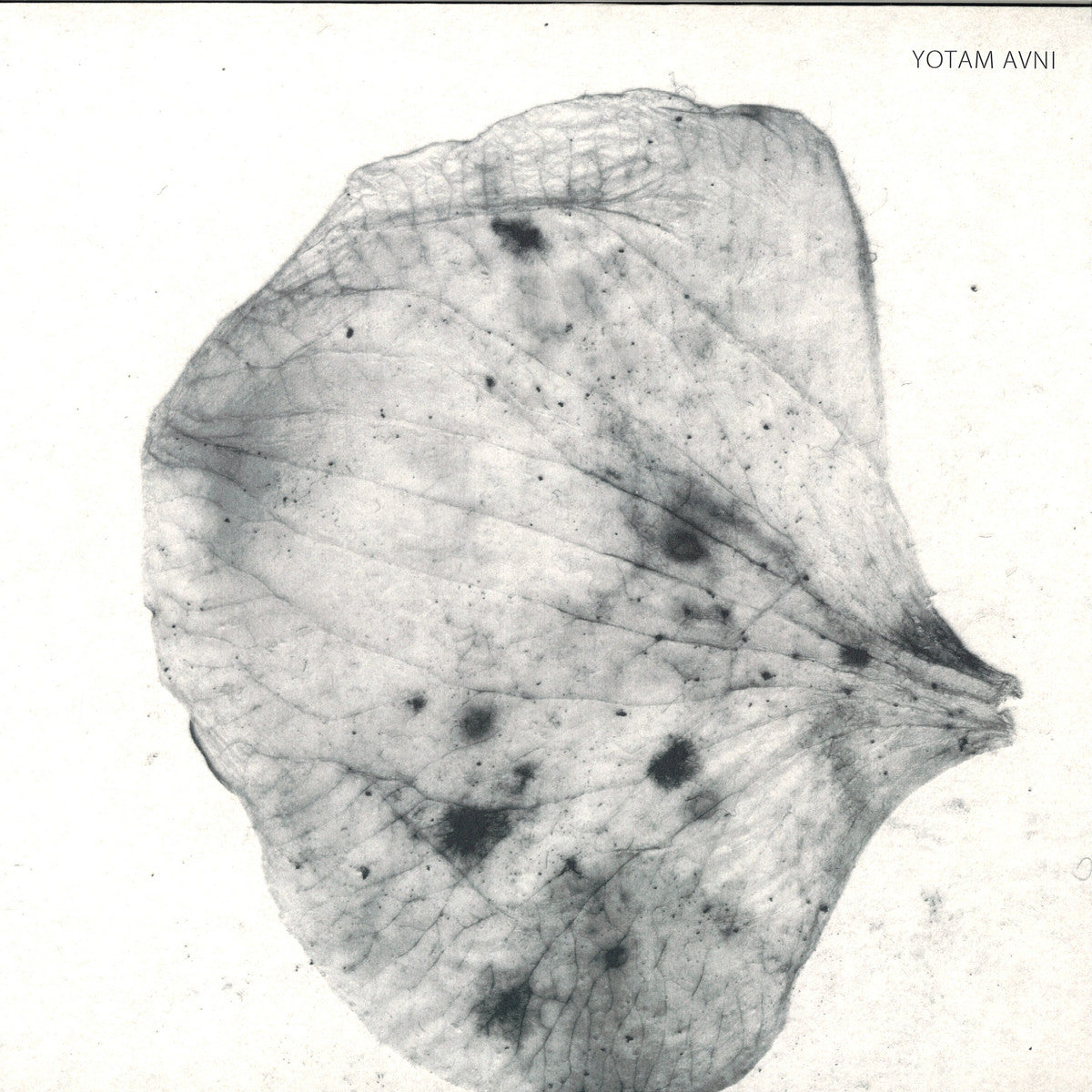 Yotam Avni - Perlude To Dybbuk (VINYL 12" Stroboscopic Artefacts) | NEW - TECHNO *NEW*