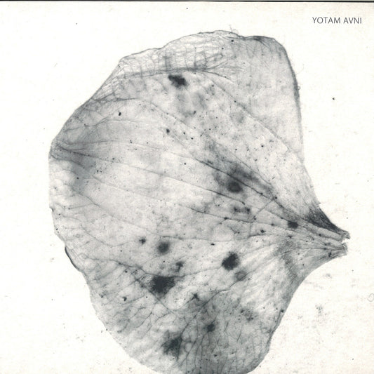 Yotam Avni - Perlude To Dybbuk (VINYL 12" Stroboscopic Artefacts) | NEW - TECHNO *NEW*