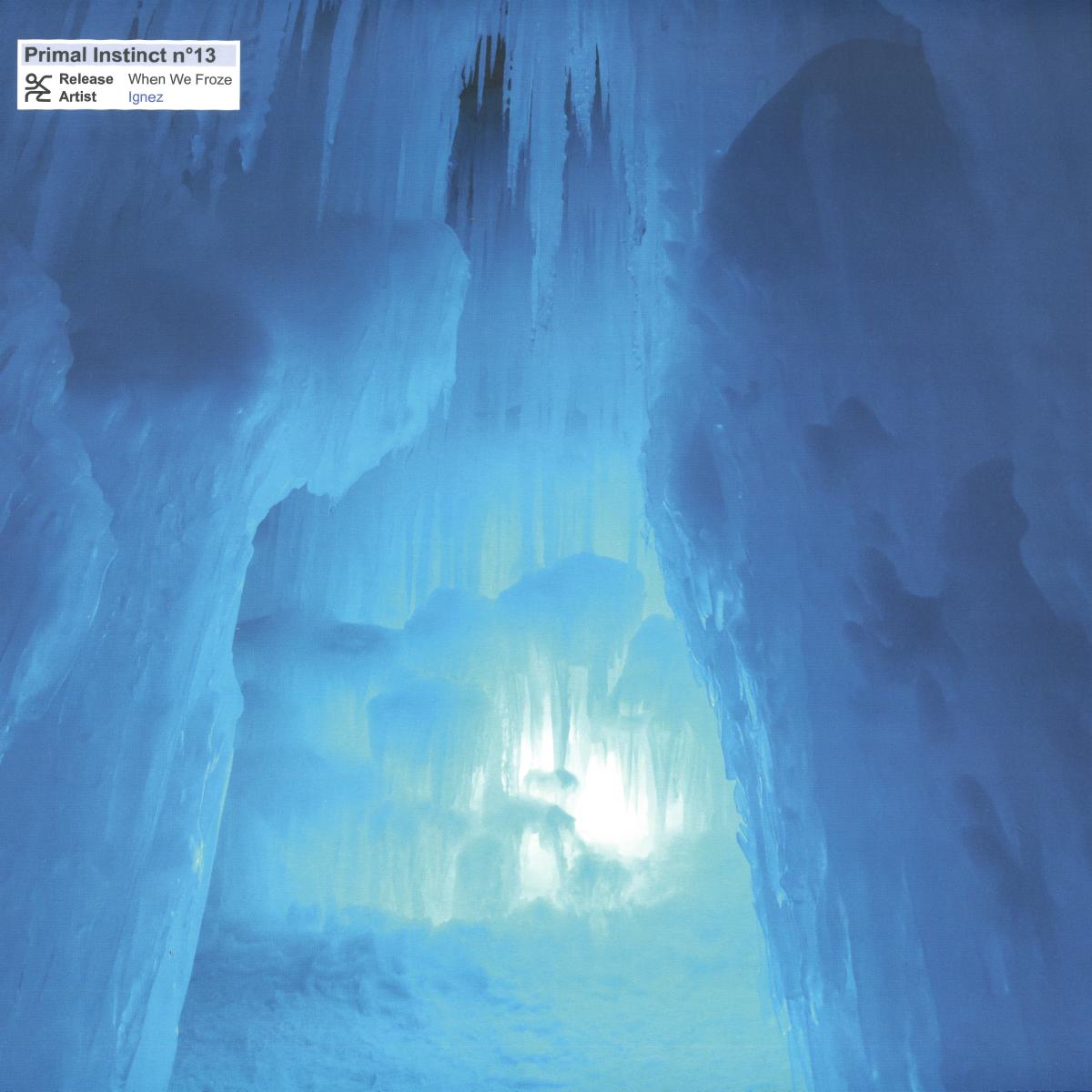 Ignez - (PRESALE 09/04/26) When We Froze (VINYL 12" Primal Instinct) | NEW - TECHNO *NEW*