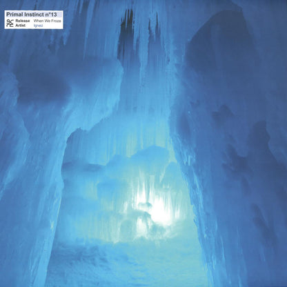 Ignez - (PRESALE 09/04/26) When We Froze (VINYL 12" Primal Instinct) | NEW - TECHNO *NEW*