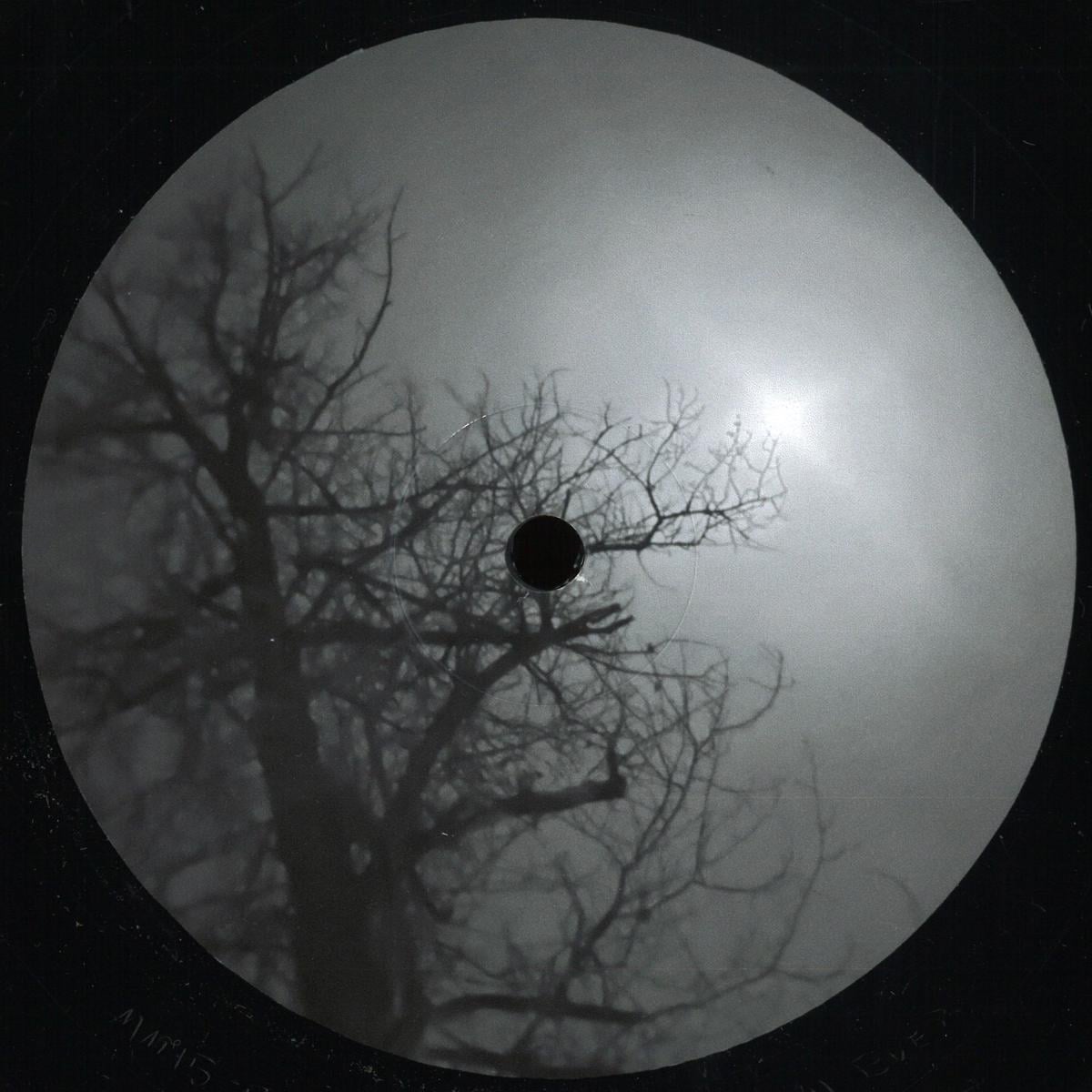 Luke Hess & Brian Kage - Northward (VINYL 12" Michigander) | NEW - TECHNO *NEW*