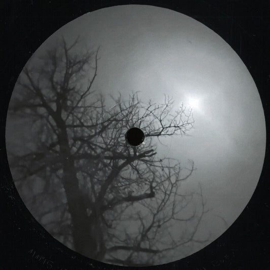 Luke Hess & Brian Kage - Northward (VINYL 12" Michigander) | NEW - TECHNO *NEW*