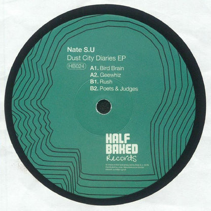 Dust City Diaries EP (VINYL) | Mint (M) Generic