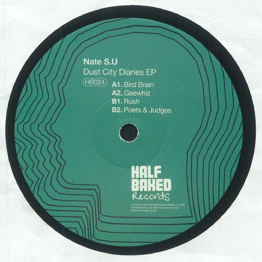 Dust City Diaries EP (VINYL) | Mint (M) Generic