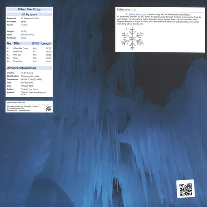 Ignez - (PRESALE 09/04/26) When We Froze (VINYL 12" Primal Instinct) | NEW - TECHNO *NEW*