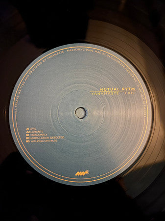 Evil (VINYL) | Mint (M) Mint (M) - TECHNO *NEW*