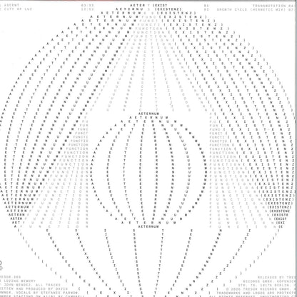 Function - Aeternum (VINYL 12" Tresor TRESOR369 2026) | NEW - TECHNO *NEW*