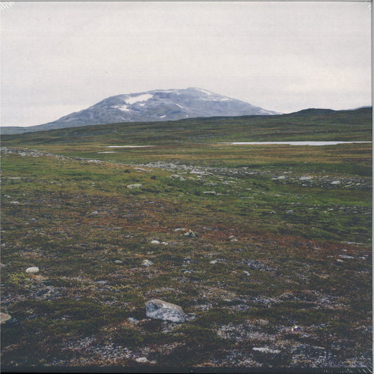 Gidge - Tundra (VINYL 12" ATOMNATION) | NEW Mint (M) Mint (M) - TECHNO *NEW*