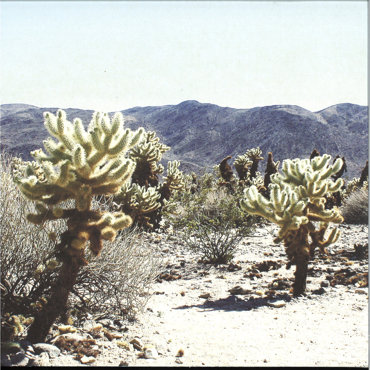 Andrea - Due In Color (VINYL 2xLP Ilian Tape) | NEW Mint (M) Mint (M) - TECHNO *NEW*