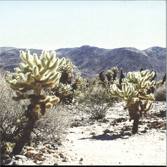 Andrea - Due In Color (VINYL 2xLP Ilian Tape) | NEW Mint (M) Mint (M) - TECHNO *NEW*