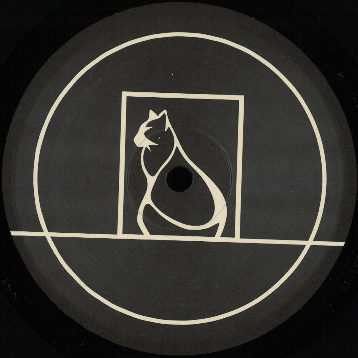 Viels - Audio Catalogue 001 (VINYL 12" Particle Audio) | NEW - TECHNO *NEW*