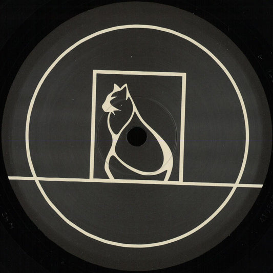 Viels - Audio Catalogue 001 (VINYL 12" Particle Audio) | NEW - TECHNO *NEW*