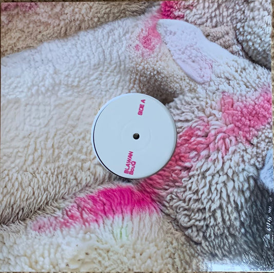 BouQ (VINYL) | Mint (M) Mint (M) - TECHNO *NEW*