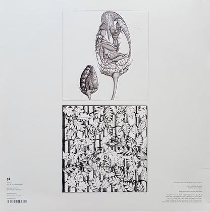 Shadows In Blue (2XVINYL) | Mint (M) Mint (M) - TECHNO *NEW*