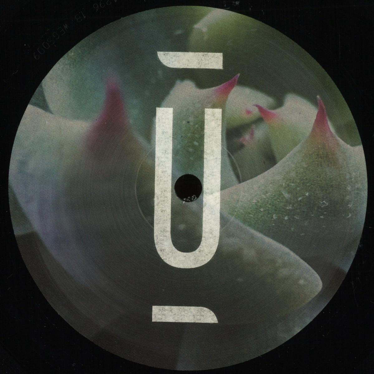 Anika Kunst - (PRESALE 10/8/26) The Power of Presence (VINYL 12" Unterwegs) | NEW - TECHNO *NEW*