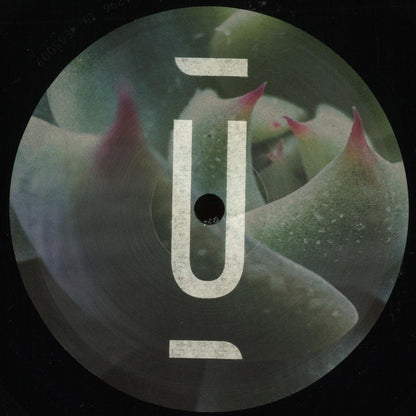 Anika Kunst - (PRESALE 10/8/26) The Power of Presence (VINYL 12" Unterwegs) | NEW - TECHNO *NEW*