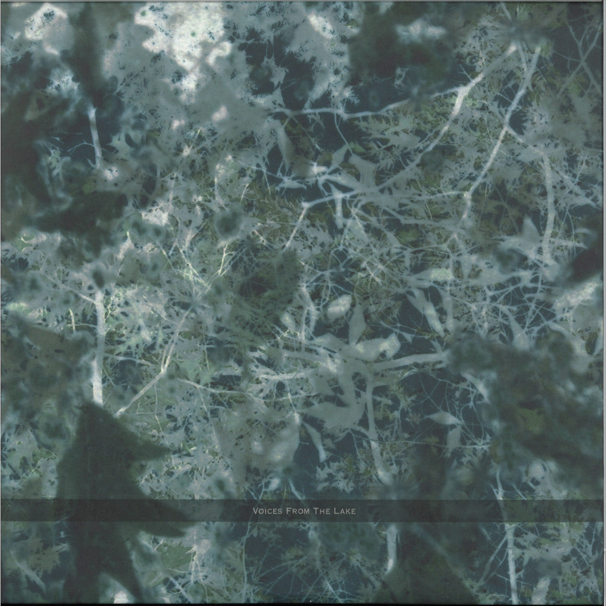 Voices From The Lake - Voices From The Lake (2023 Edition) (VINYL 4x12" Spazio Disponibile SPAZIO025 2026) | NEW Mint (M) Mint (M) - TECHNO *NEW*