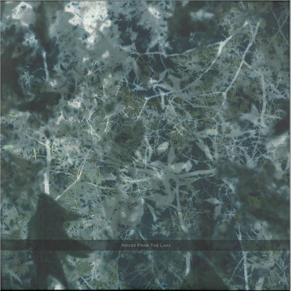 Voices From The Lake - Voices From The Lake (2023 Edition) (VINYL 4x12" Spazio Disponibile SPAZIO025 2026) | NEW Mint (M) Mint (M) - TECHNO *NEW*