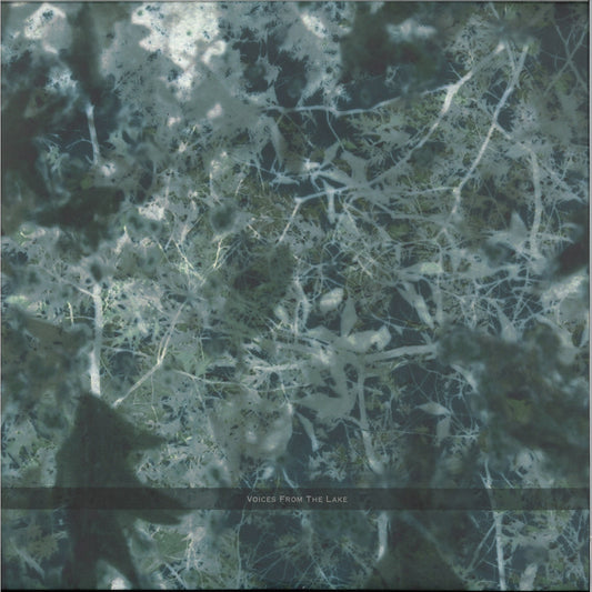 Voices From The Lake - Voices From The Lake (2023 Edition) (VINYL 4x12" Spazio Disponibile SPAZIO025 2026) | NEW Mint (M) Mint (M) - TECHNO *NEW*