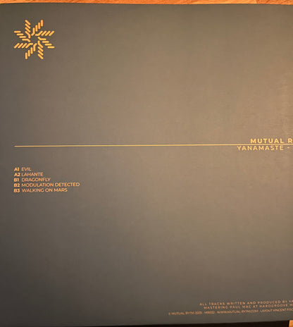 Evil (VINYL) | Mint (M) Mint (M) - TECHNO *NEW*