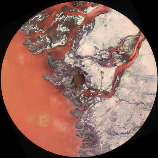 Various - (PRESALE 10/9/26) IIXXII (VINYL 12" Immaterial.Archives IA022) | NEW - TECHNO *NEW*