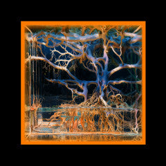 Question Mark (PRE-ORDER 6/13/25)(VINYL) | Mint (M) Mint (M) - TECHNO *NEW*