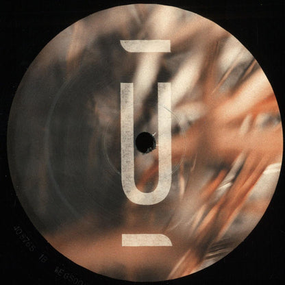 Sedvs - Teorema (VINYL 12" Unterwegs) | NEW Mint (M) Mint (M) - TECHNO *NEW*