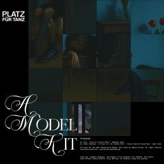 (PRE-ORDER 10/3/25) A Model Kit (VINYL 12") | Mint (M) Mint (M) - TECHNO *NEW*