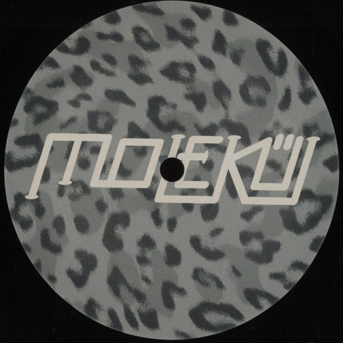 Fank & No Valentia - (PRESALE 10/9/26) Wavecycle (VINYL 12" Molekül) | NEW - TECHNO *NEW*