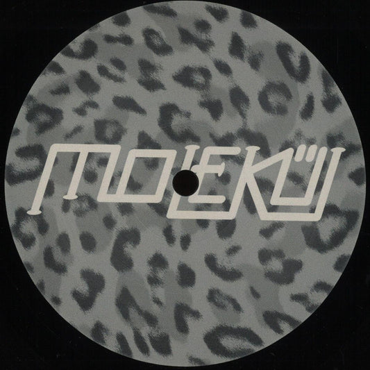 Fank & No Valentia - (PRESALE 10/9/26) Wavecycle (VINYL 12" Molekül) | NEW - TECHNO *NEW*