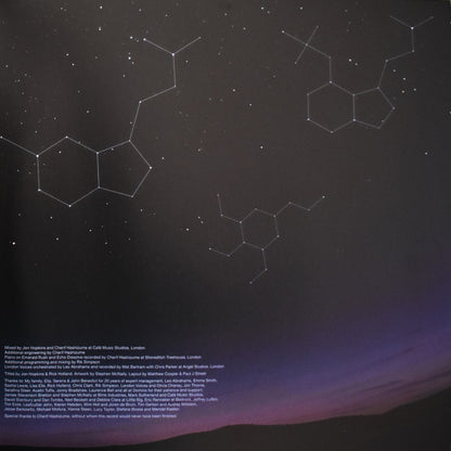 Singularity (180 GRAM VINYL) | Mint (M) Mint (M) - DOWNTEMPO *SEALED*