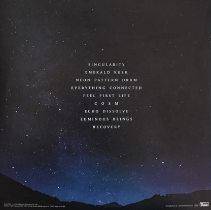 Singularity (180 GRAM VINYL) | Mint (M) Mint (M) - DOWNTEMPO *SEALED*