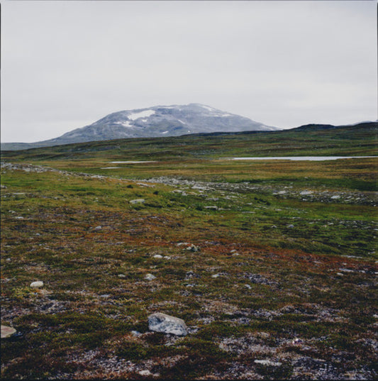 Tundra | Mint (M) Mint (M) - TECHNO *SEALED*