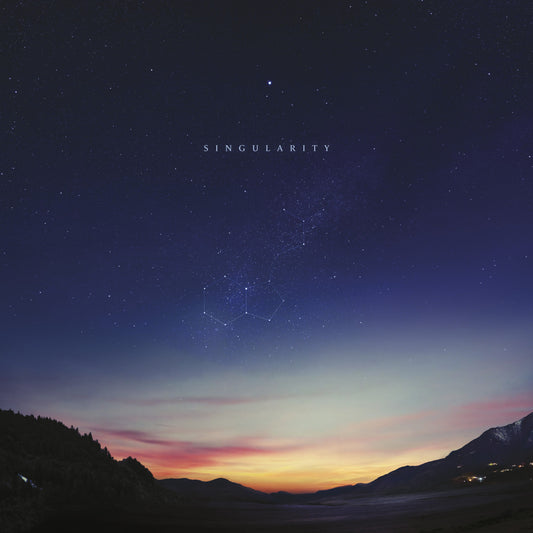 Singularity (180 GRAM VINYL) | Mint (M) Mint (M) - DOWNTEMPO *SEALED*