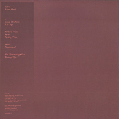 Please Touch (12") | Near Mint (NM) Near Mint (NM) - TECHNO / USED *NEAR MINT*