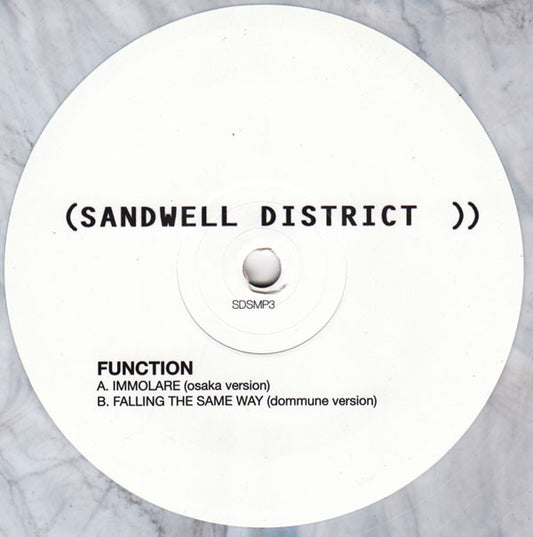Function Feed Forward Versions 12" Near Mint (NM or M-) Near Mint (NM or M-)