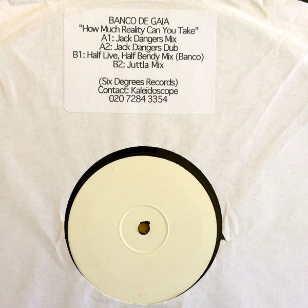 How Much Reality Can You Take? (12" VINYL) | Very Good Plus Plus (VG++) Generic - TECHNO / USED *VERY GOOD++*