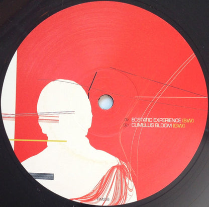 Geoff White & Stewart Walker - Discord | Very Good (VG) Excellent (EX) - TECHNO / USED *VERY GOOD*