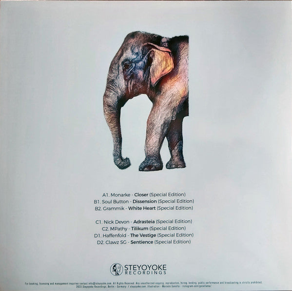Various - Steyoyoke 200 | Mint (M) Mint (M) - TECHNO