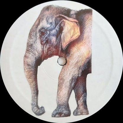 Various - Steyoyoke 200 | Mint (M) Mint (M) - TECHNO