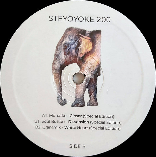 Various - Steyoyoke 200 | Mint (M) Mint (M) - TECHNO