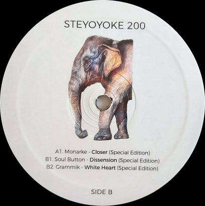 Various - Steyoyoke 200 | Mint (M) Mint (M) - TECHNO