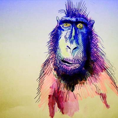 Fingerprints |