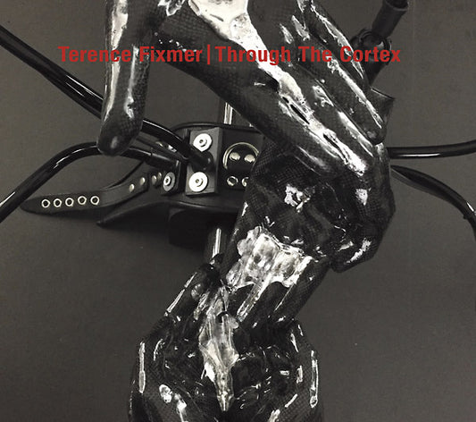 Through The Cortex |