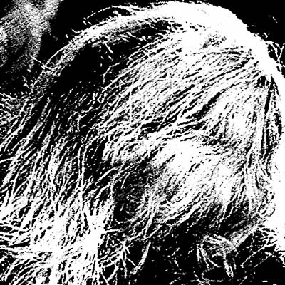 TERENCE HANNUM - Spectral Life |