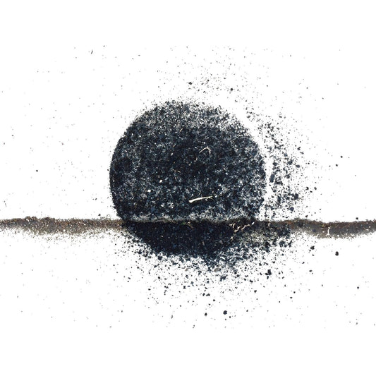 The Endless Sea (Indie Exclusive White Vinyl) |